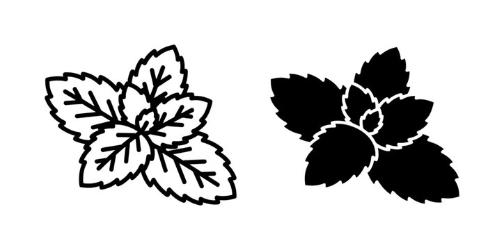 Mint leaf line art and black silhouette icon set