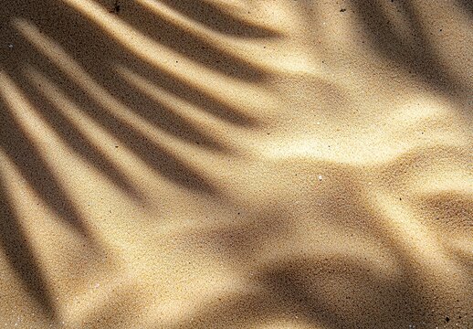 Shadows of palm fronds dance across rippling desert sand dunes creating a serene and tranquil abstract natural pattern