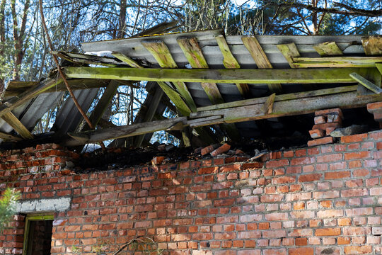 Photograph depicting dilapidated structure overtaken by moss and creeping plants