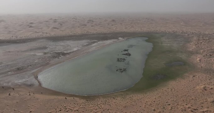 Aerial view of oasis landscape in desert