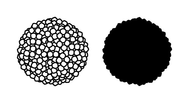 Black and white morula embryo stage vector icons