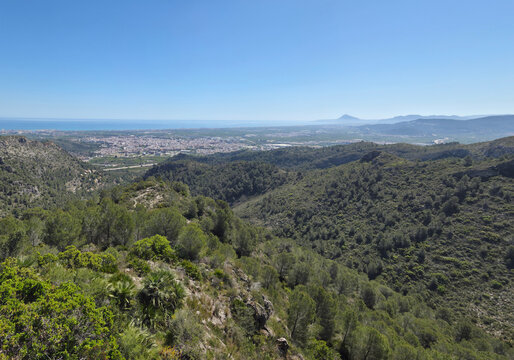 Vista panor&aacute;mica de Gand&iacute;a desde las monta&ntilde;as con el mar Mediterr&aacute;neo al fondo , Amplia vista panor&aacute;mica de la ciudad de Gand&iacute;a capturada desde una zona monta&ntilde;osa cubierta de vegetaci&oacute;n mediterr&aacute;nea.