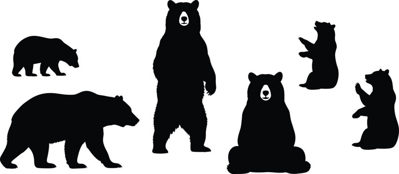 Bear silhouette vector set, walking, sitting, standing poses, wild animal illustration for forest, wildlife, nature, educational, and design content
