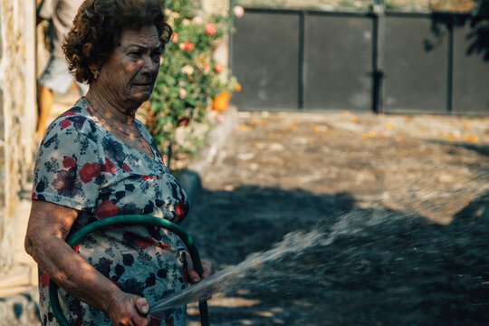 Senior woman in floral blouse tends her garden, watering lush green plants with a hose in warm golden-hour light. Candid, authentic lifestyle moment