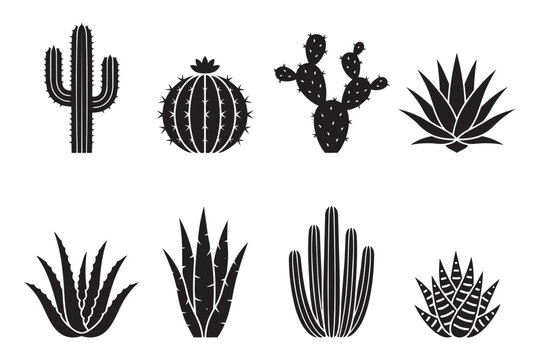 Cactus vector illustration set for desert landscape and botanical design element collection.