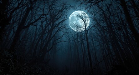 Fototapeta premium Eerie nocturnal forest featuring leafless branches and a large full moon