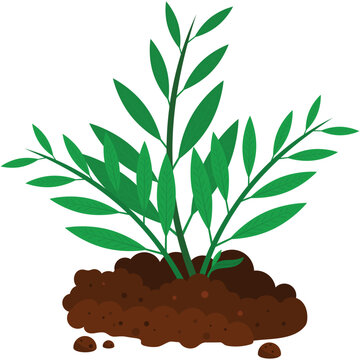 Plant seedling in soil pile vector icon