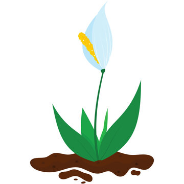 Blooming plant seedling in soil pile vector icon