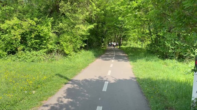 Cycling along a tree-lined bike path through lush green countryside, smooth paved trail with lane markings, sunlight filtering through foliage, outdoor recreation and sustainable mobility concept.