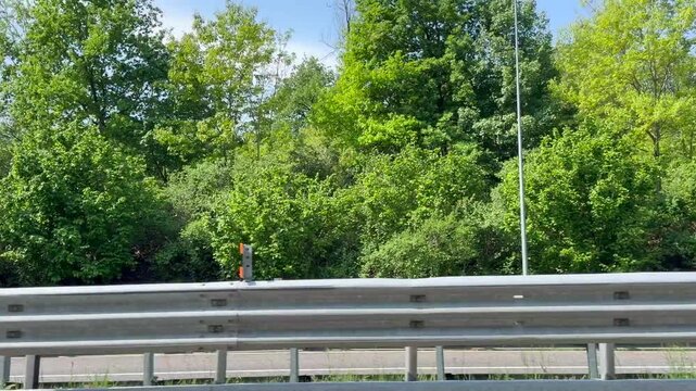 View from moving vehicle along highway with metal guardrail and dense green forest, roadside perspective with trees and clear sky, transportation scene with motion and travel concept.