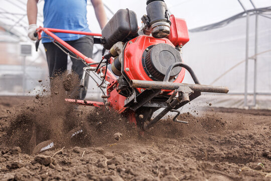 Rotary tiller cultivating soil in greenhouse for seedbed preparation and row planting
