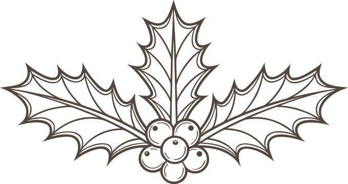 Black and white vintage of holly leaves and berries