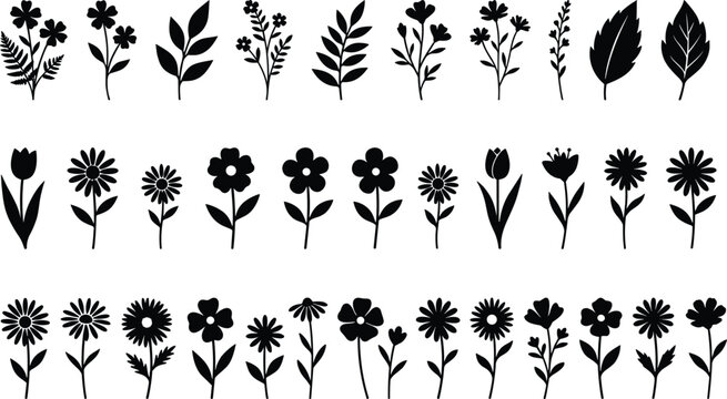 Flower and leaf silhouettes collection, botanical blossoms and foliage vector illustration, nature artwork design graphic - black and white flat vector illustration