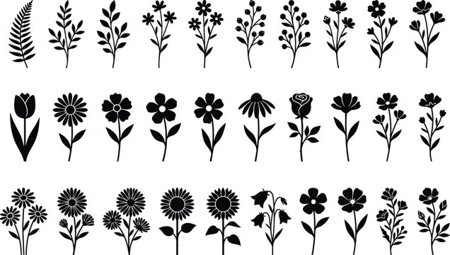 Flower and plant silhouettes collection, botanical blossoms and leafy stems vector illustration, nature artwork design graphic - black and white flat vector illustration