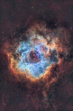 Astro photo of the Rosette Nebula in Hubble SHO Color palette
