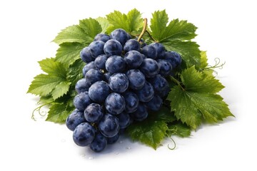 Fototapeta premium Blue grape bunch surrounded by leafy greens isolated on white backdrop