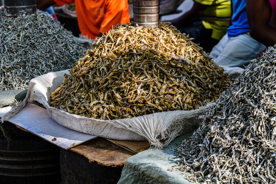 Dried capelin fish for sale at the fish market