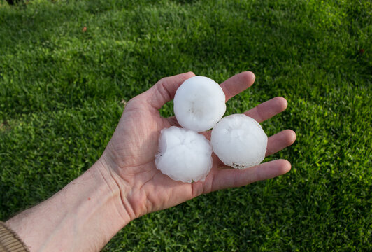 A person's hand holds three large hailstones, each over two inches in diameter. The hailstones were dropped by a supercell thunderstorm.
