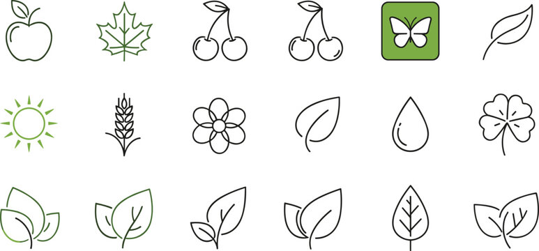 Nature and Environment Icon Set with Apple, Leaves, Flowers, Sun, and Butterfly in Line Vector Style