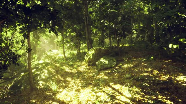 Sunlit Czechia forest glade at dawn with dappled light on mossy floor, low beech canopy casting patterned shadows, scattered ferns and leaf litter, tranquil
