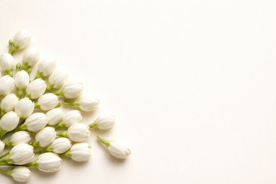 White mogra flower buds arranged on a smooth neutral backdrop with ample copy space