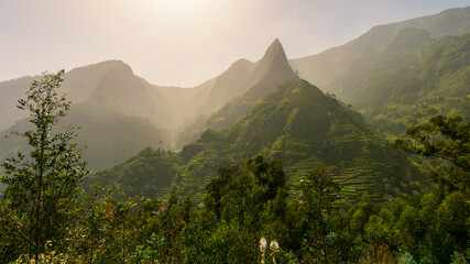 Obraz premium Green terraced mountains in a foggy landscape of Madeira island.