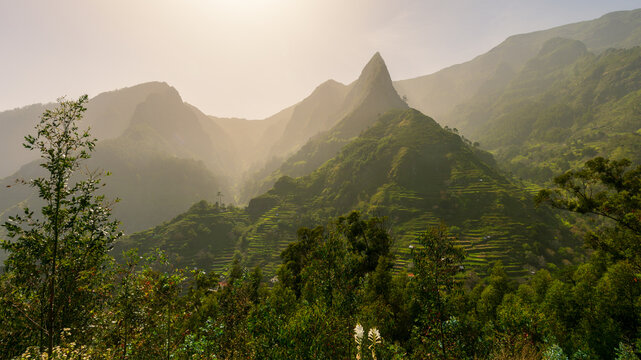 Green terraced mountains in a foggy landscape of Madeira island.