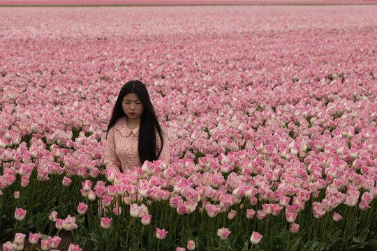 asian young woman in lace dress sitting in soft pink tulip flower field