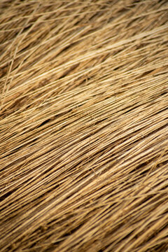 Close-up texture of dried flax stalks lying on the ground after harvest. The stems are arranged diagonally across the frame in a field setting.