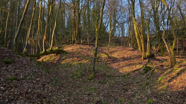 Felsen im Wald, Sonnenlicht und Schatten auf die Laubdecke, alter Steinbruch, Boxtal, Main-Boxtal, Tauber-Kreis, Baden-W&uuml;rttemberg, Dorfprozelten, Main, Spessart, Bayern, Deutschland