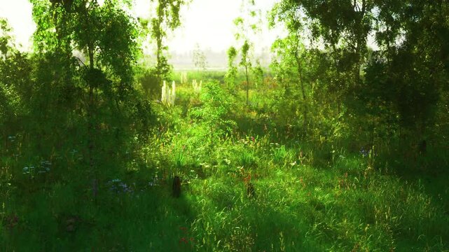 Shaded wetland corridor with dense grasses and low canopy, moist ground and subtle reflections hint at marshy habitat, conservation and biodiversity focus