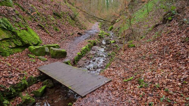 Weg mit Bach im zeitigem Fr&uuml;hjahr, Seltenbachschlucht, Klingenberg am Main, Churfranken, Untermain, Main, Bayern, Deuschland