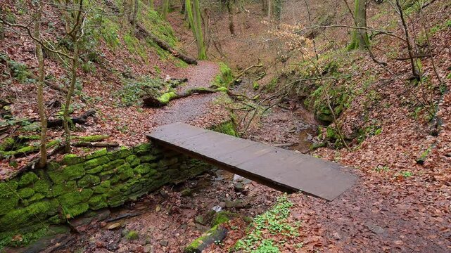 Weg mit Bach im zeitigem Fr&uuml;hjahr, Seltenbachschlucht, Klingenberg am Main, Churfranken, Untermain, Main, Bayern, Deuschland