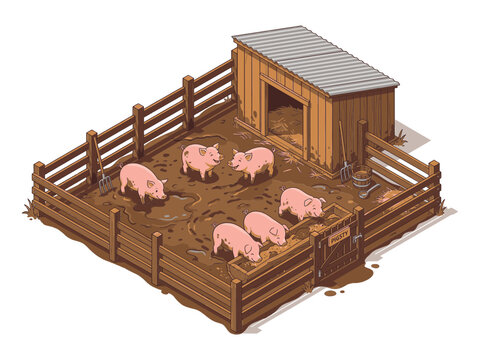 Enclosure fencing troughs muddy wooden feeding pigsty scene pigs vector