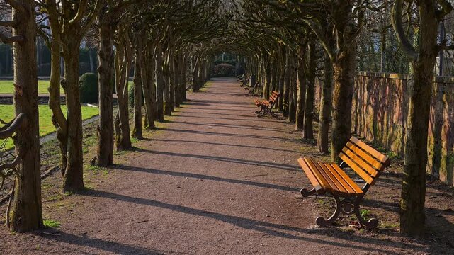 Ein langer Parkweg mit B&auml;nken und B&auml;umen im Sonnenschein, Lustgarten Erbach, Erbach, Odenwald, S&uuml;dhessen, Hessen, Deutschland
