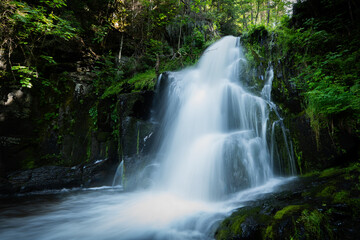 Obraz premium Waterfall in deep forest