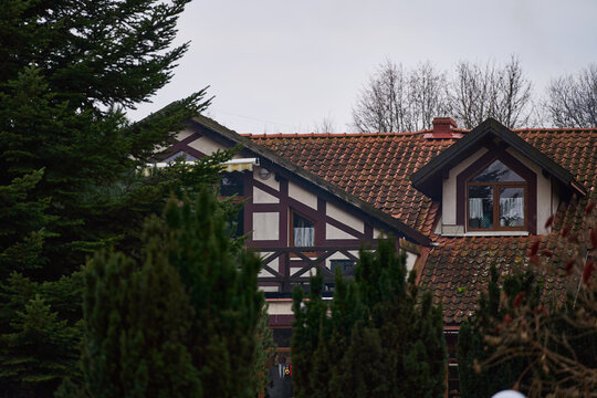 tudor facade peeking behind tall pines with steep tiled roof and decorative beams, dormer window and evergreen