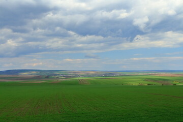 Fototapeta premium A grassy field with a body of water in the distance