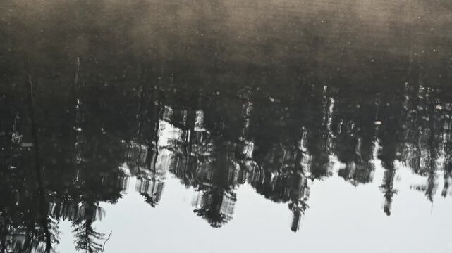 Looking down into a calm lake reflecting nearby pine trees as mist drifts across the water in a serene forest landscape.