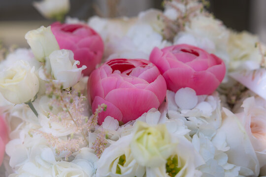 Macro of pink peony roses and white hydrangea in a bouquet