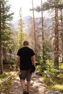 Young Man Hiking Alone on a Forest Trail Through Pine Trees in the Rocky Mountains