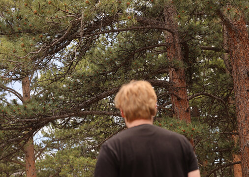 Man Hiking in Pine Forest Surrounded by Tall Trees in Colorado