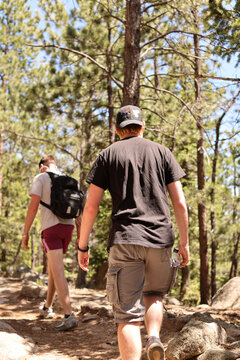 Two Young Men Hiking Through Rocky Mountain National Park Pine Forest On Sunny Trail