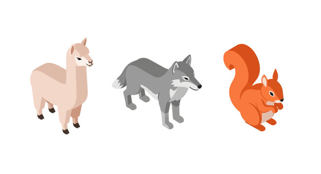 Isometric forest animals: llama wolf and squirrel illustration