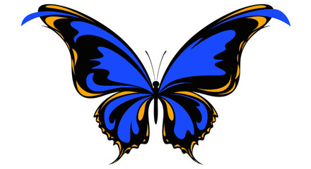 Vibrant blue butterfly with black wings. © Khansa505