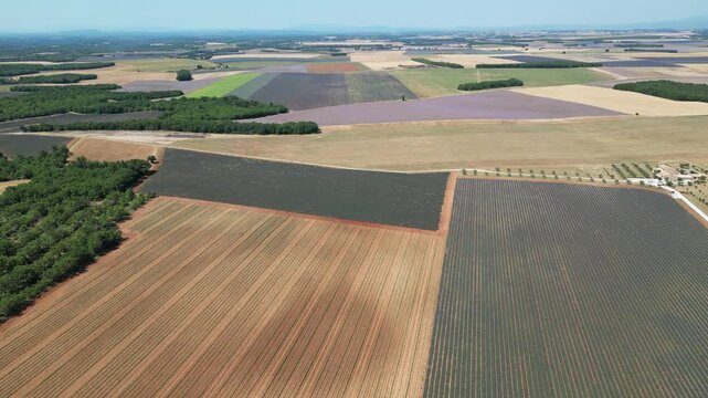 Vue a&eacute;rienne de champs de lavande dans le sud de la France