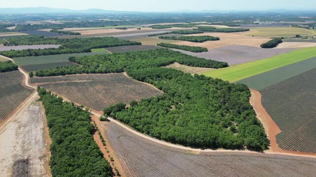 Vue a&eacute;rienne de champs de lavande dans le sud de la France