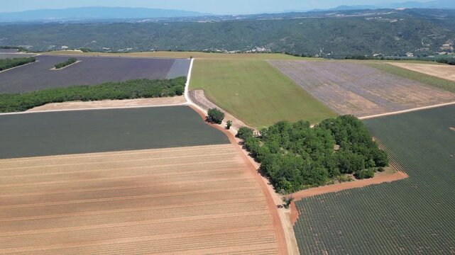 Vue a&eacute;rienne de champs de lavande dans le sud de la France