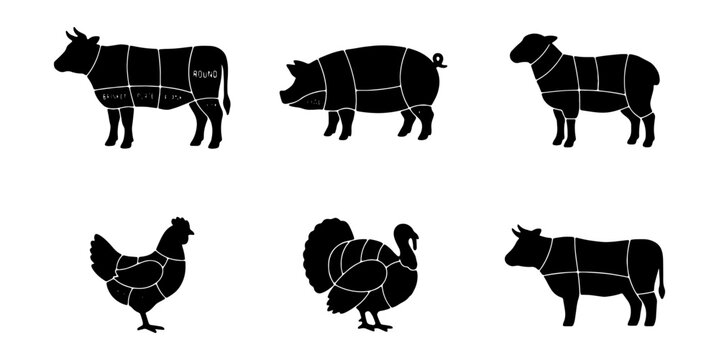 Meat cuts, butcher shop, farm animal icons, beef pork lamb chicken turkey, vector graphics