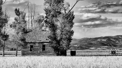 Abandoned Colorado cabin © Jennifer